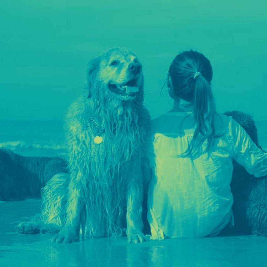woman-dogs-beach-T&B